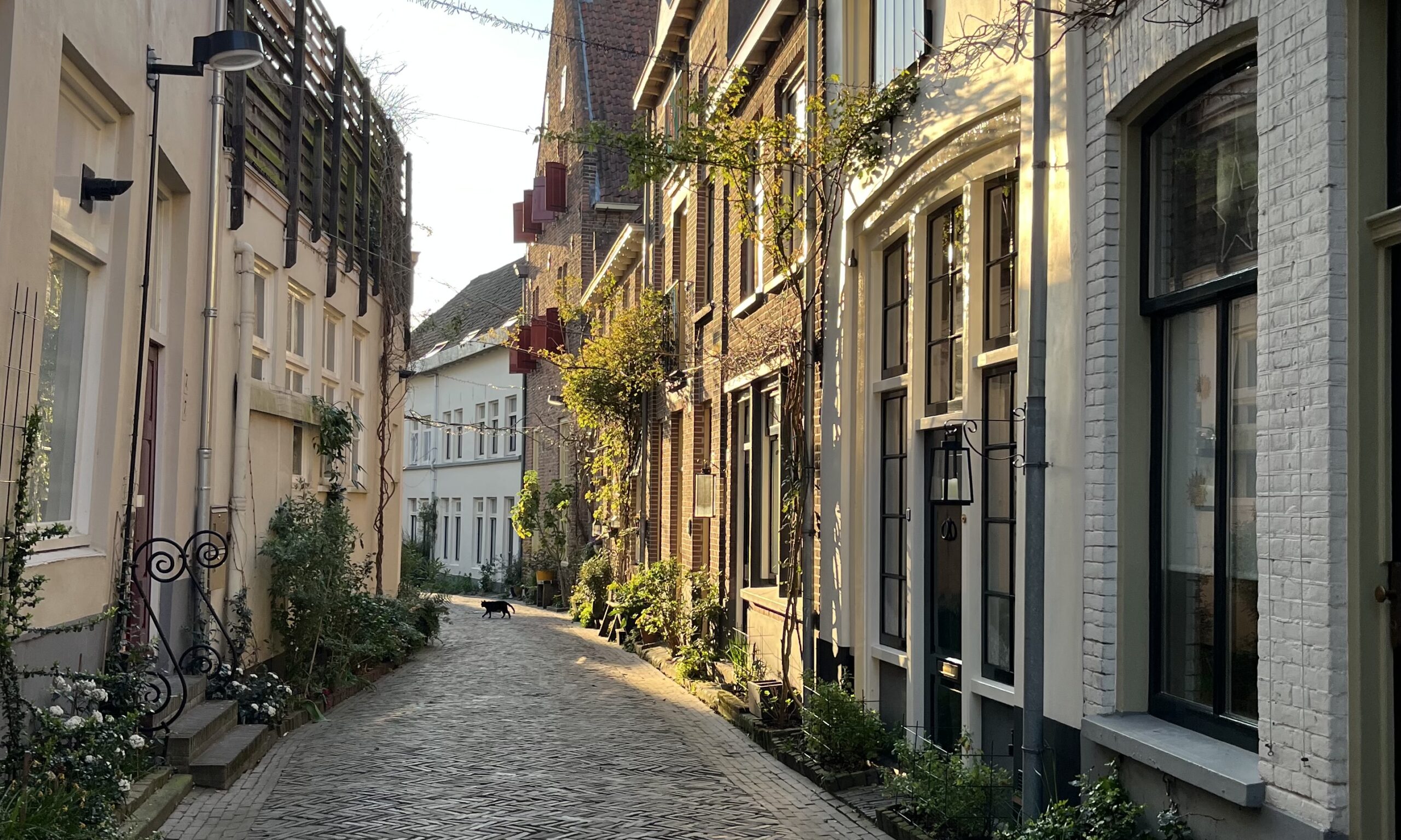 Bomen, boeken en in je kracht gezet worden
