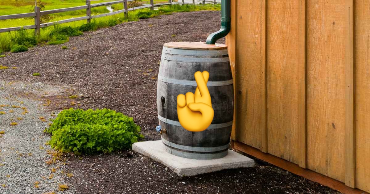 Hoefnix verliest weer een bittere strijd
