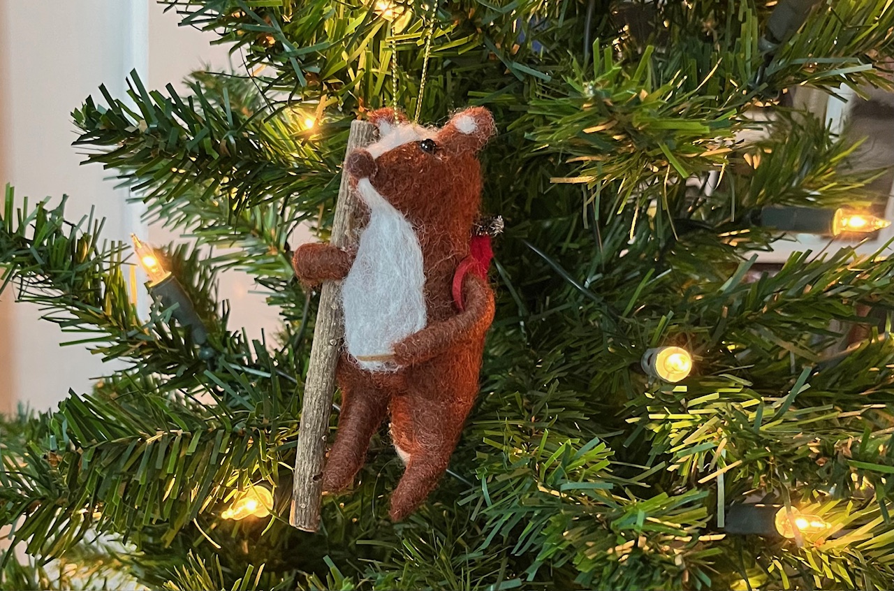 ‘Alles wat jij nodig hebt, past in je rugzak.’