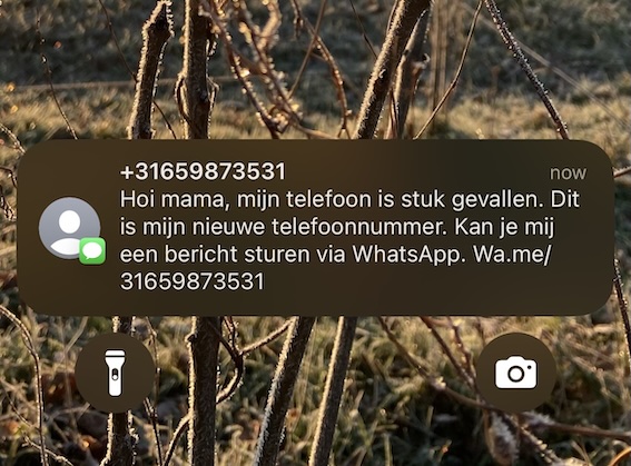 Je hulp gevraagd! Onderzoek naar online oplichting